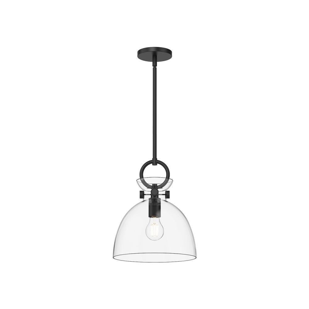 Alora Lighting Waldo 11-in Pendant Matte Black, Clear Glass