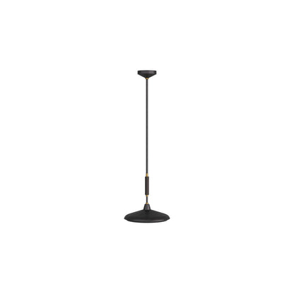 Arteriors Home Bryson Pendant