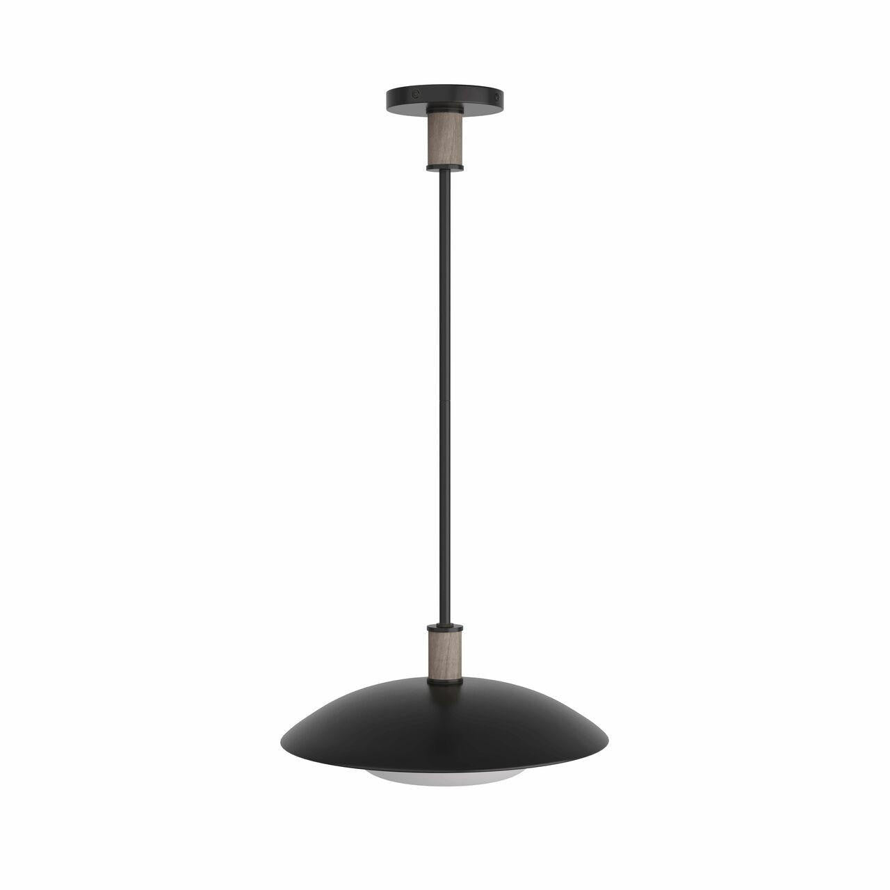 Arteriors Home Tobias Pendant Blackened Iron