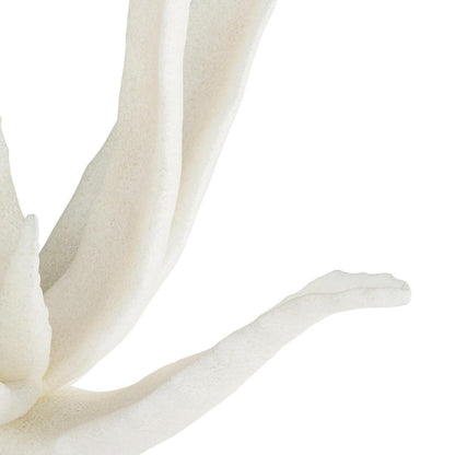 Decor/Home Accents-Arteriors Home-ASC12