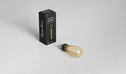 Light Bulbs-Buster and Punch-BB-TD-E26-ND-GO-B