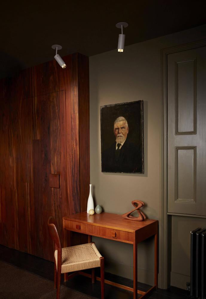 Landscape Ltg.-Buster and Punch-NBB-21694