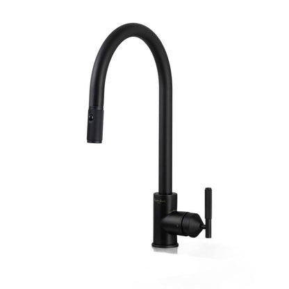 Buster + Punch Kitchen Faucet, Pull-Out With Dual Spray, Linear Welders Black