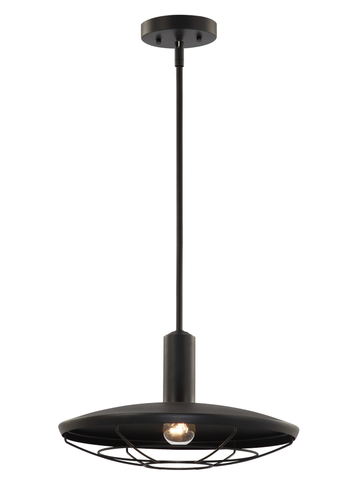 Matteo Lighting Compton 16-in Pendant Matte Black