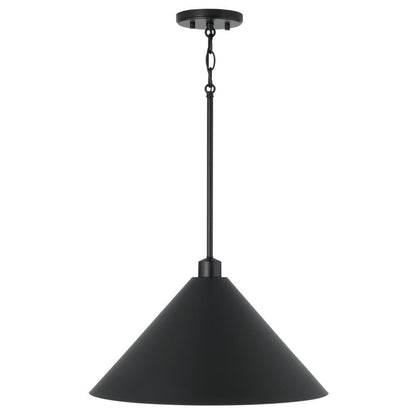 Capital Alden Pendant Matte Black