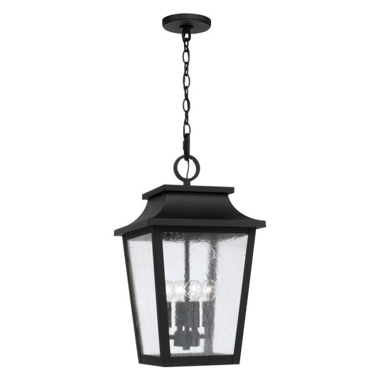 Capital Chandler Outdoor Hanging Lantern Black