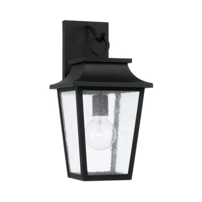 Capital Chandler Outdoor Wall Lantern Black