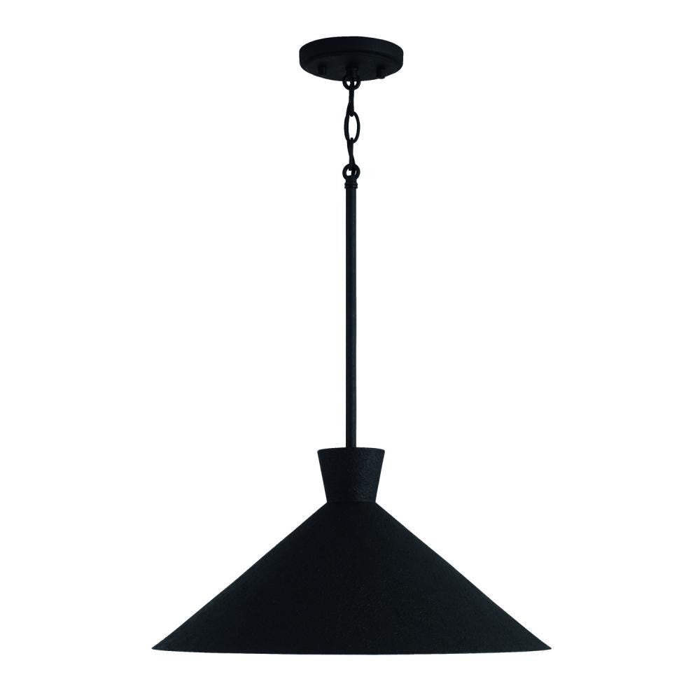 Capital Paloma Pendant Textured Black