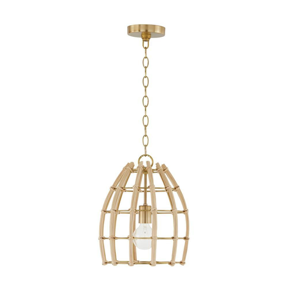 Capital Wren Pendant Matte Brass