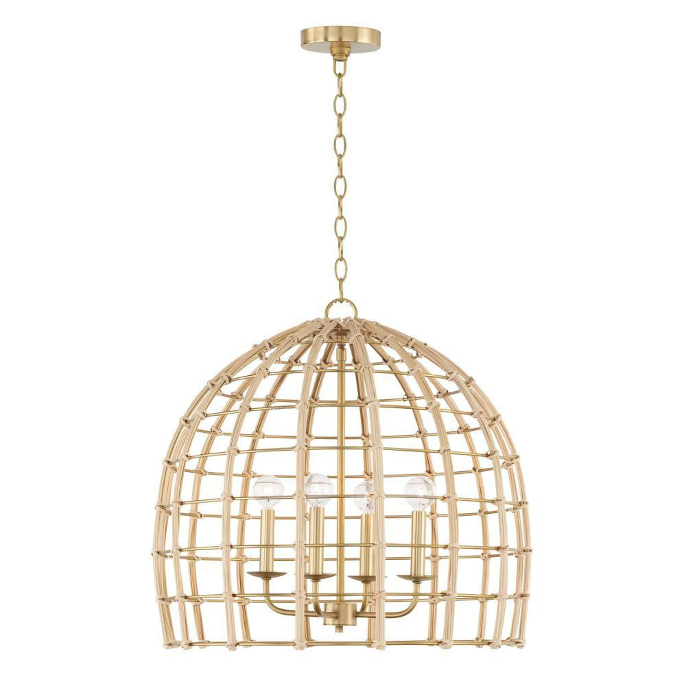Capital Wren Pendant Matte Brass