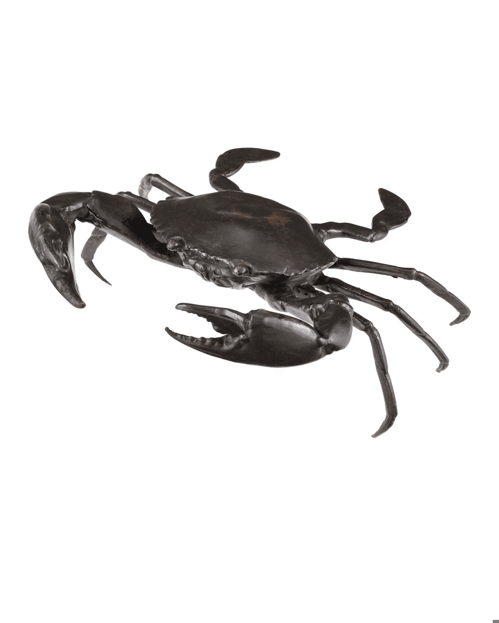 Currey and Company Crab Bronze Dark Brown