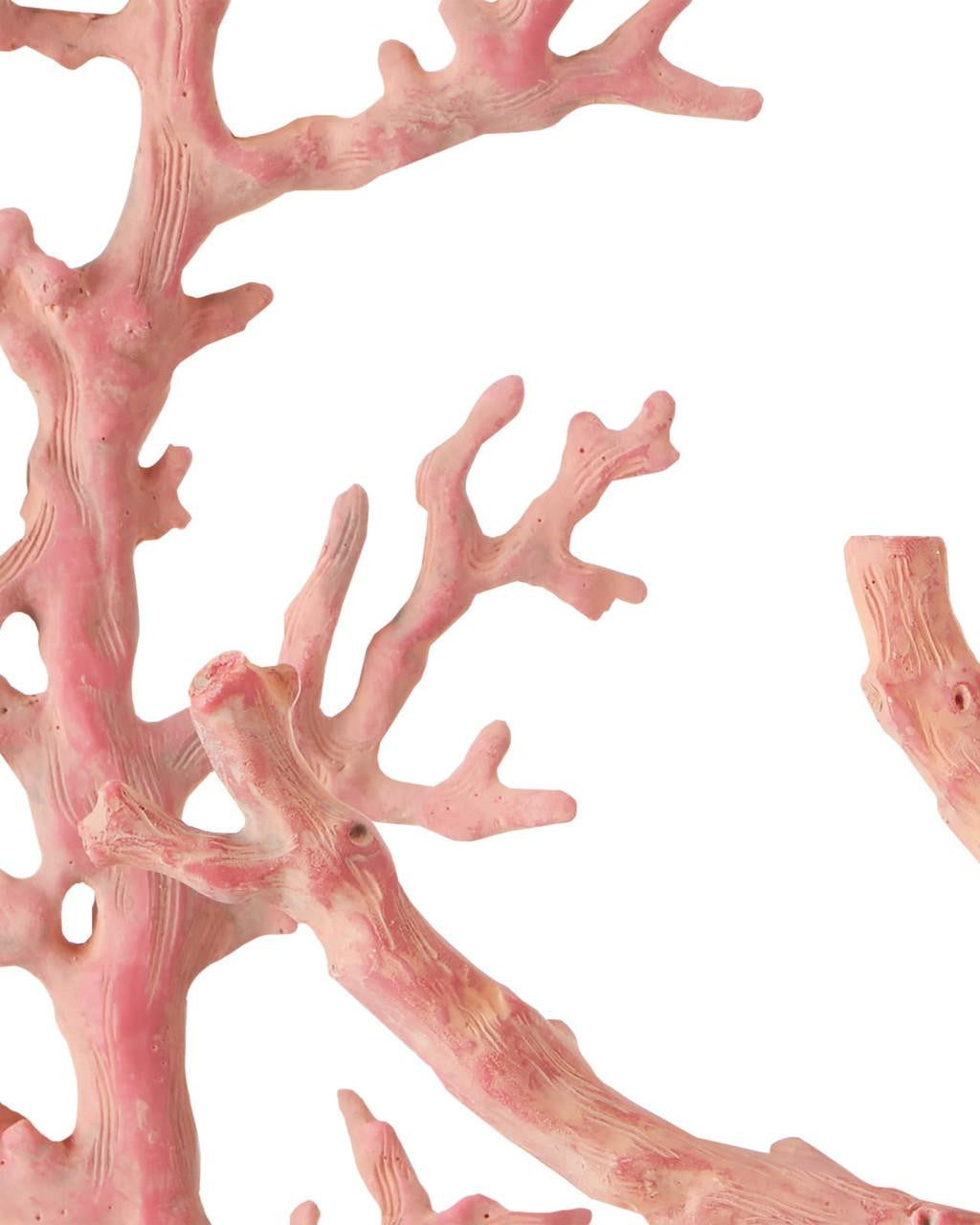 Currey and Company Large Red Coral Branches, Set of 3
