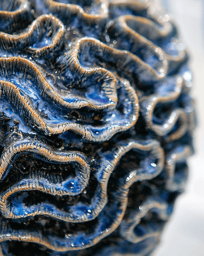 Lamps-Currey-6000-0745