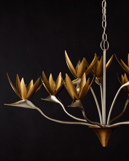 Chandeliers-Currey-9000-0973