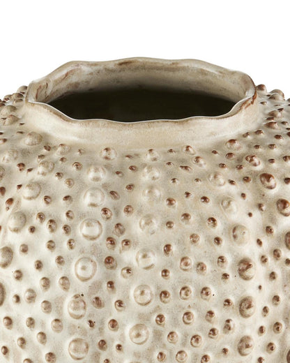 Currey and Company Peanut Large Vase