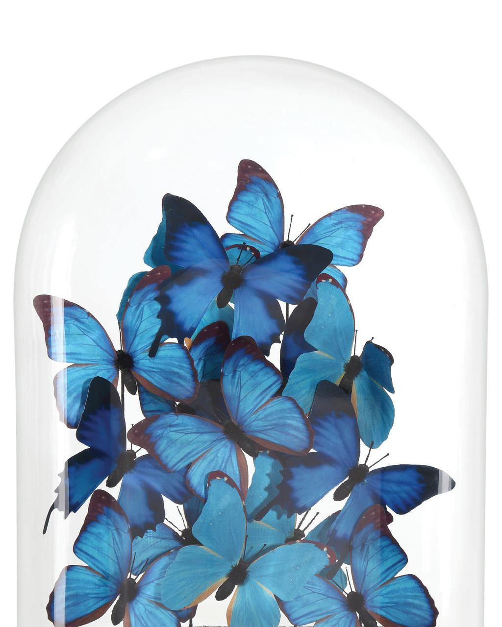 Decor/Home Accents-Currey-1200-0897