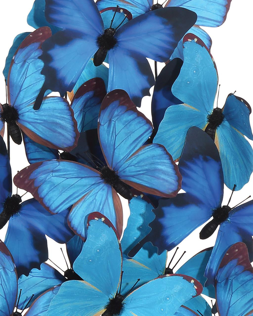 Decor/Home Accents-Currey-1200-0897