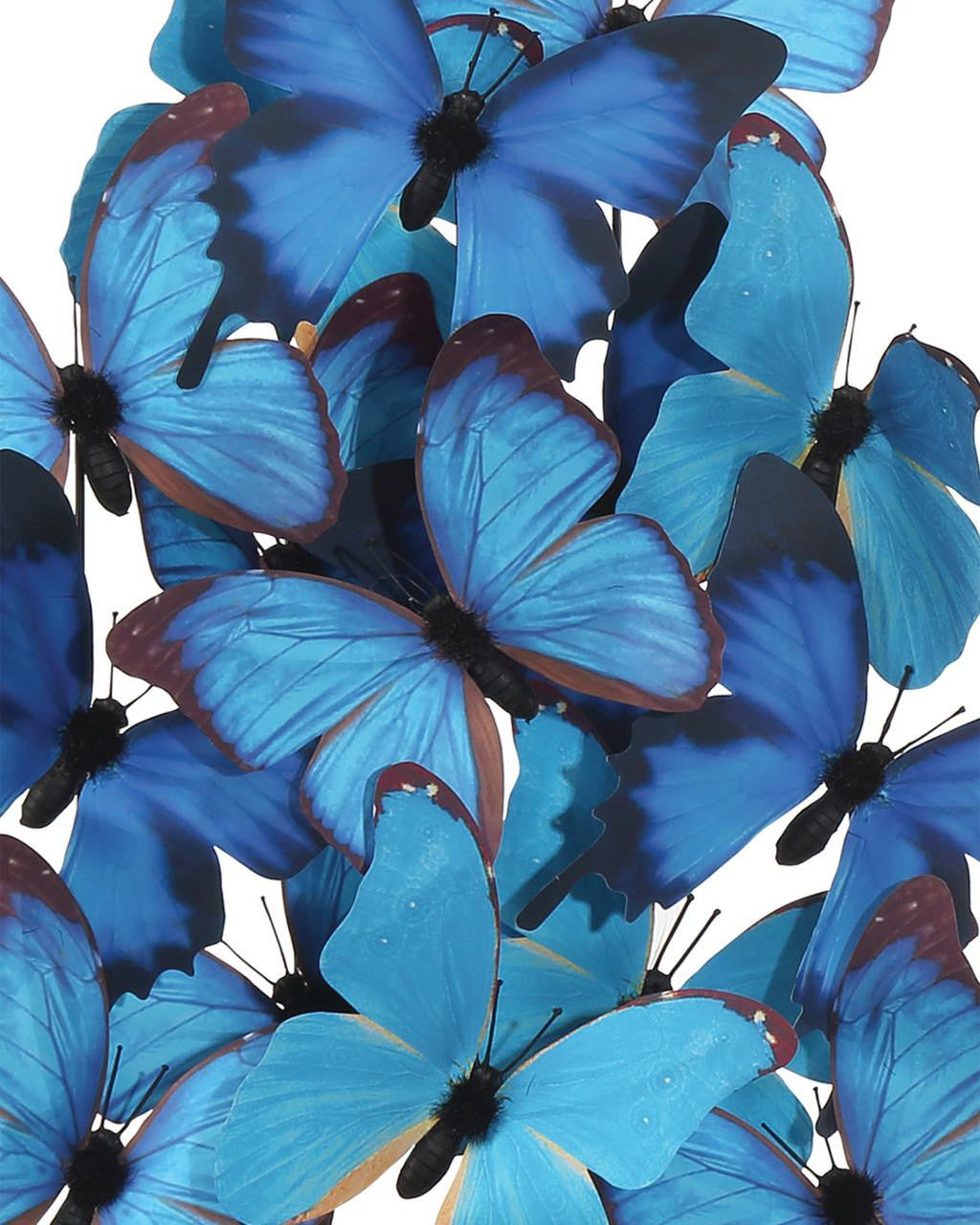 Decor/Home Accents-Currey-1200-0896