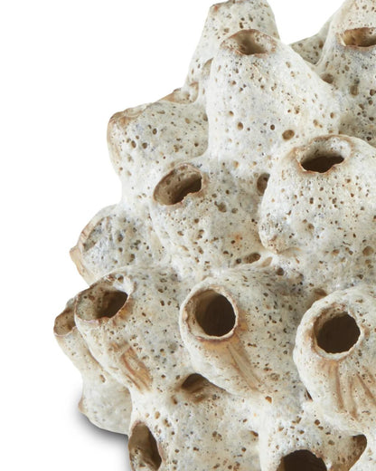 Currey and Company Sulawasi Shells Sculpture