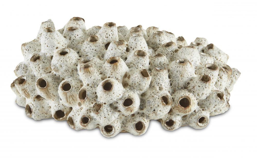 Currey and Company Sulawasi Shells Sculpture Antique White