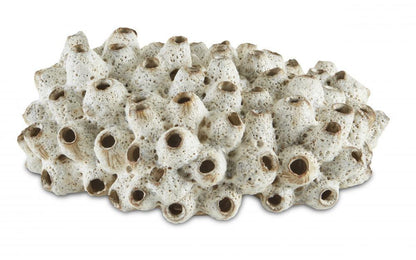 Currey and Company Sulawasi Shells Sculpture Antique White