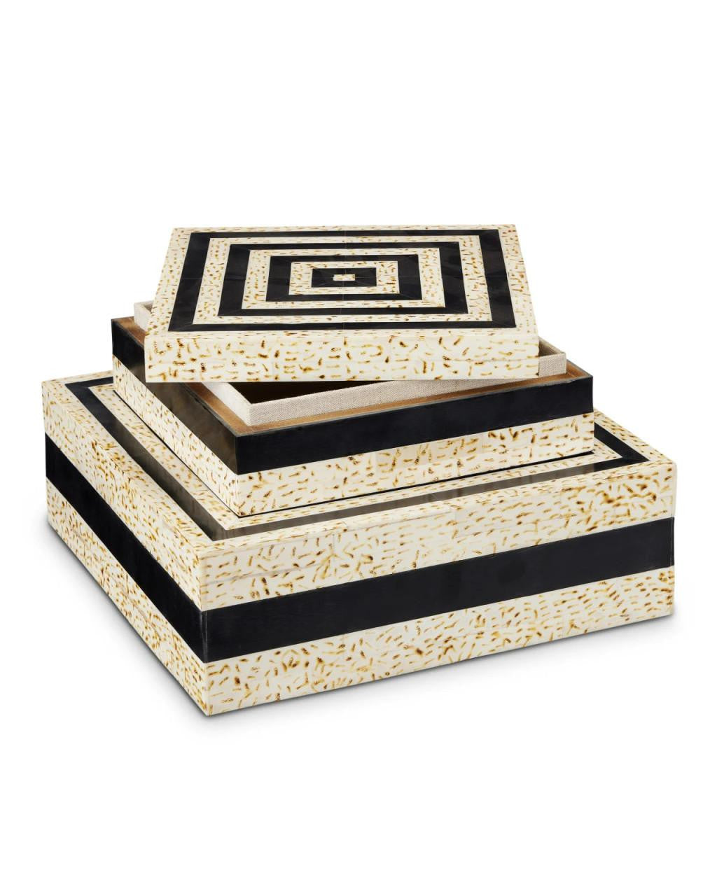 Currey and Company Taurus Box, Set of 2