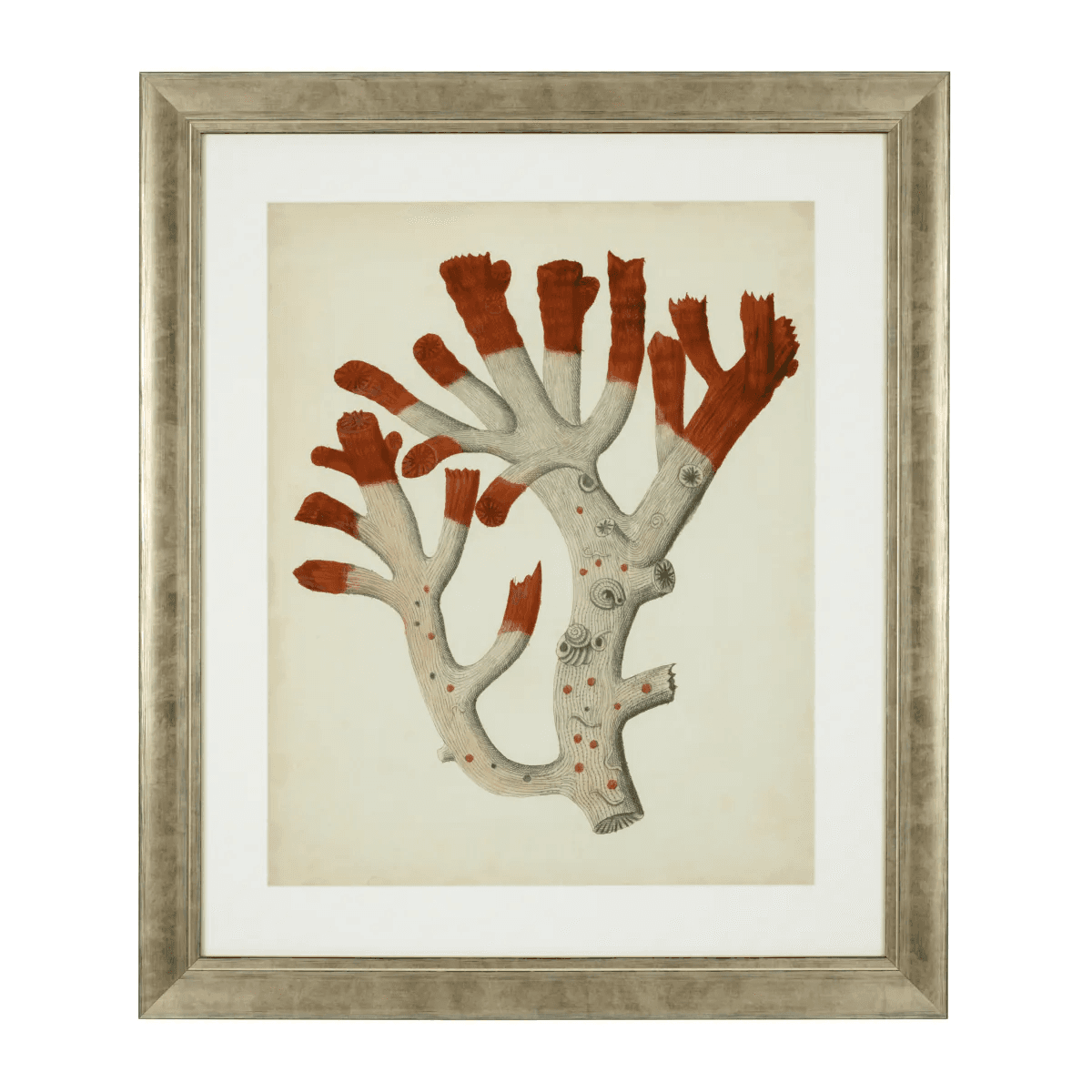 Eichholtz Antique Red Corals Wall Art, Set of 6, Antique Silver Frame, 22.64"W (111741 YV0J041TRD)