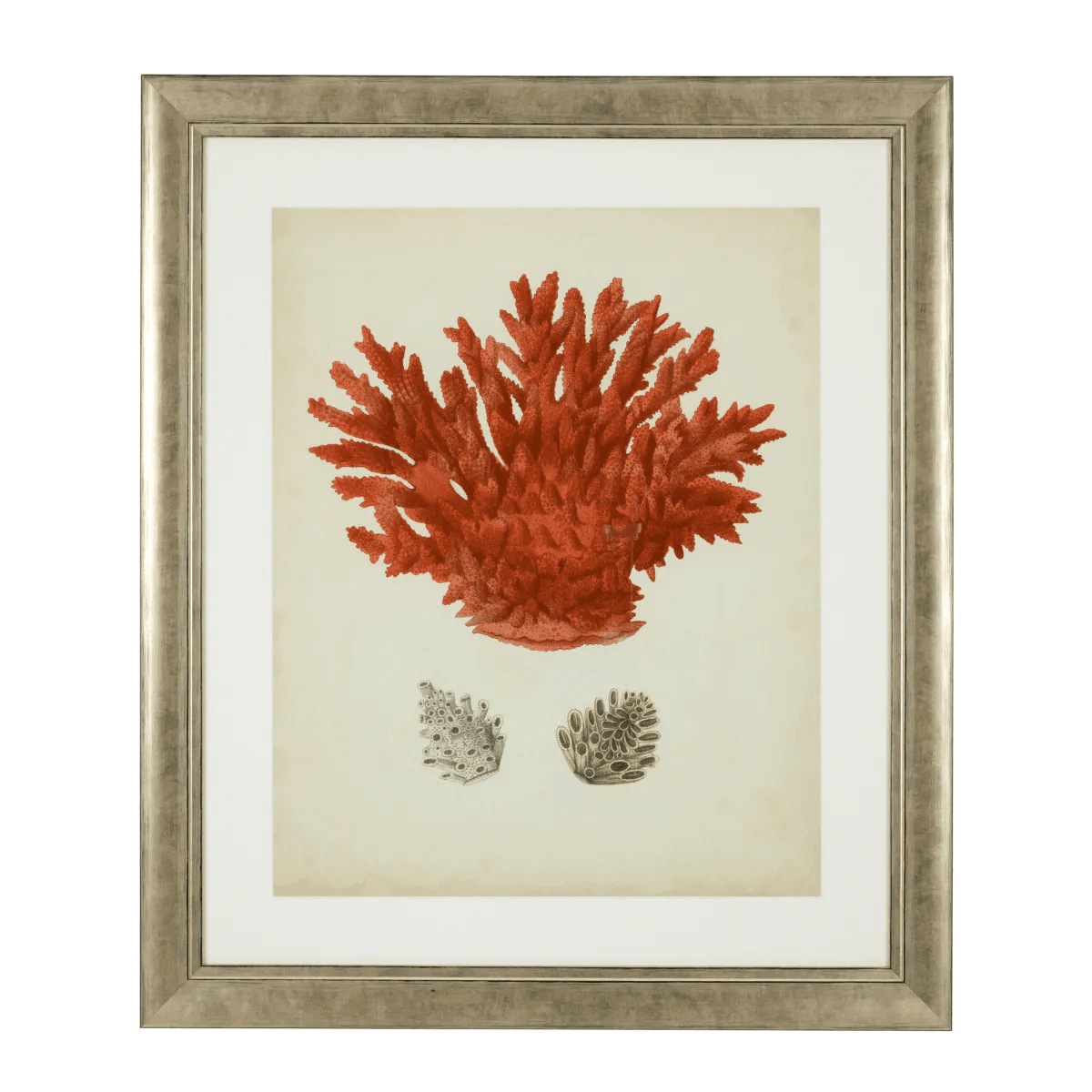Eichholtz Antique Red Corals Wall Art, Set of 6, Antique Silver Frame, 22.64"W (111741 YV0J041TRD)
