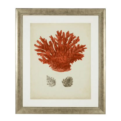 Eichholtz Antique Red Corals Wall Art, Set of 6, Antique Silver Frame, 22.64"W (111741 YV0J041TRD)