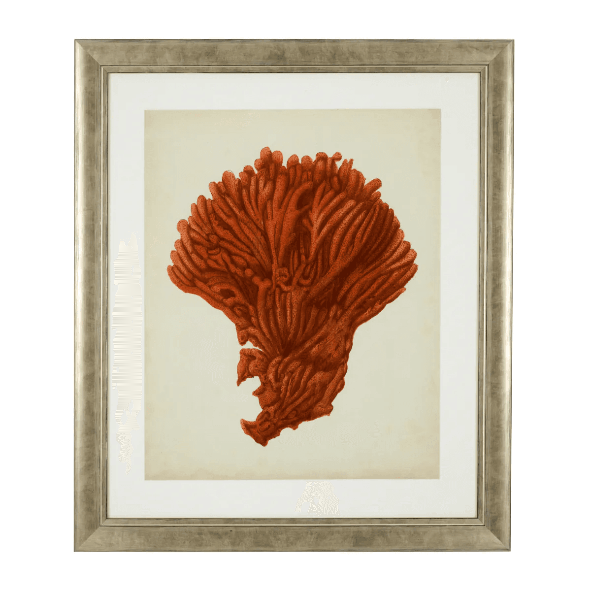 Eichholtz Antique Red Corals Wall Art, Set of 6, Antique Silver Frame, 22.64"W (111741 YV0J041TRD)