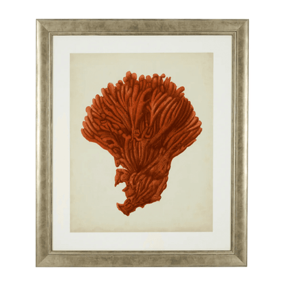 Eichholtz Antique Red Corals Wall Art, Set of 6, Antique Silver Frame, 22.64"W (111741 YV0J041TRD)