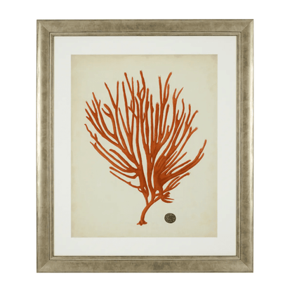 Eichholtz Antique Red Corals Wall Art, Set of 6, Antique Silver Frame, 22.64"W (111741 YV0J041TRD)