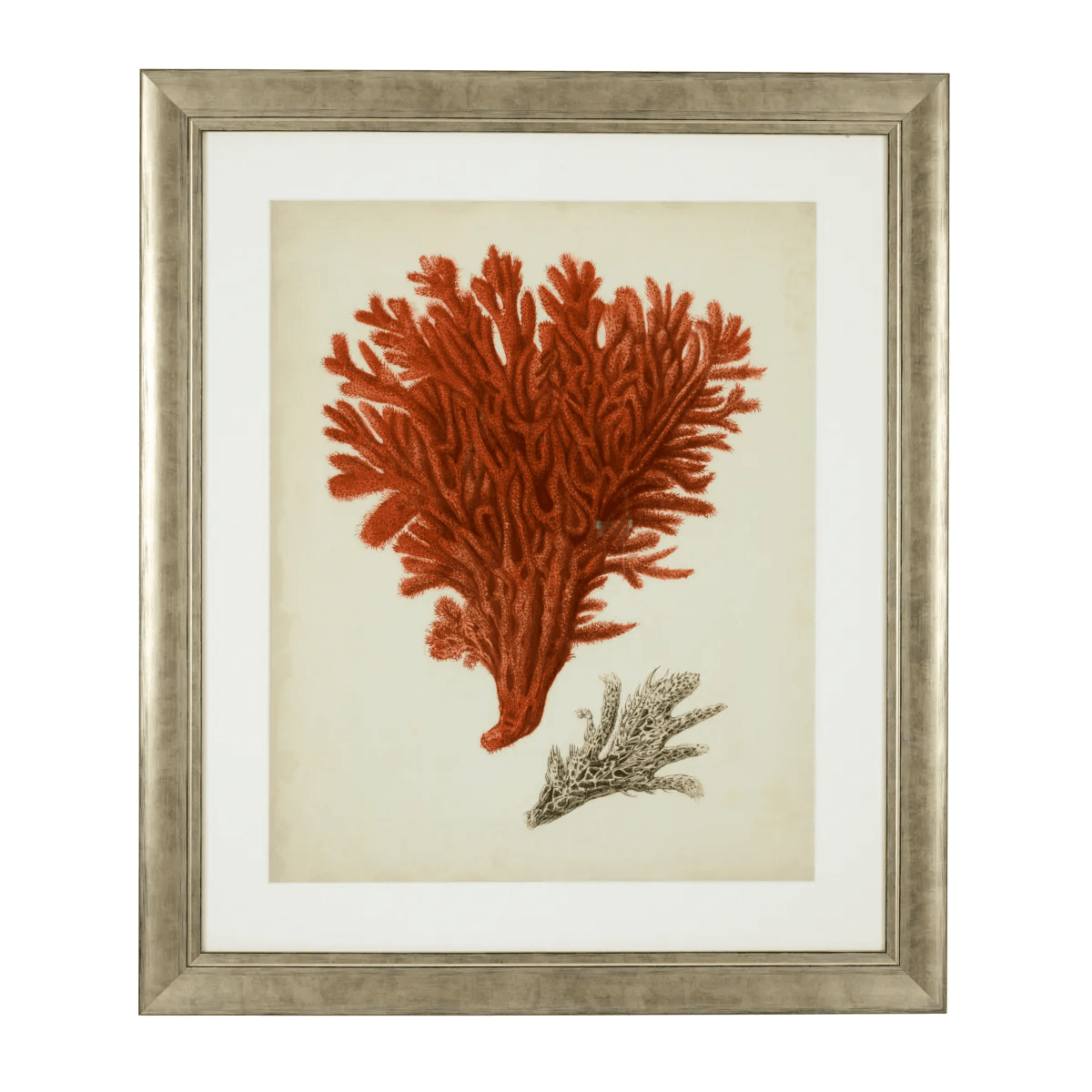 Eichholtz Antique Red Corals Wall Art, Set of 6, Antique Silver Frame, 22.64"W (111741 YV0J041TRD)