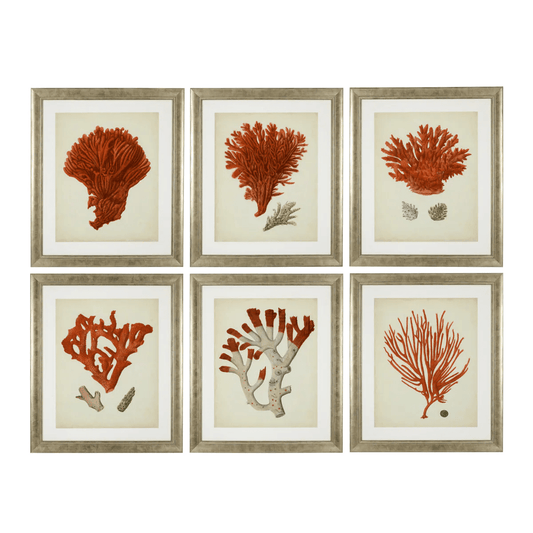 Eichholtz Antique Red Corals Wall Art, Set of 6, Antique Silver Frame, 22.64"W (111741 YV0J041TRD)