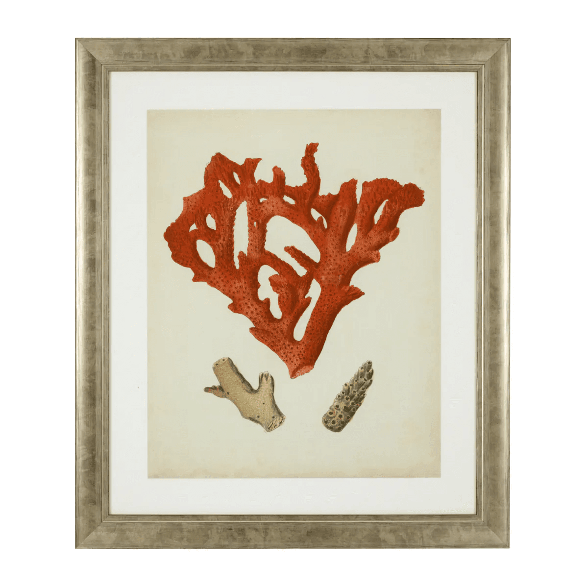 Eichholtz Antique Red Corals Wall Art, Set of 6, Antique Silver Frame, 22.64"W (111741 YV0J041TRD)