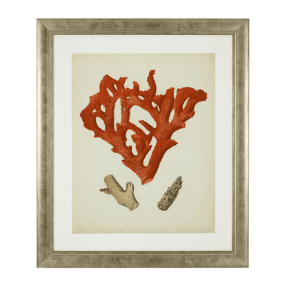 Eichholtz Antique Red Corals Wall Art, Set of 6, Antique Silver Frame, 22.64"W (111741 YV0J041TRD)