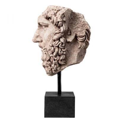 Eichholtz Bust of Lucius Verus, Eichholtz TM0020 YV0J044XCT