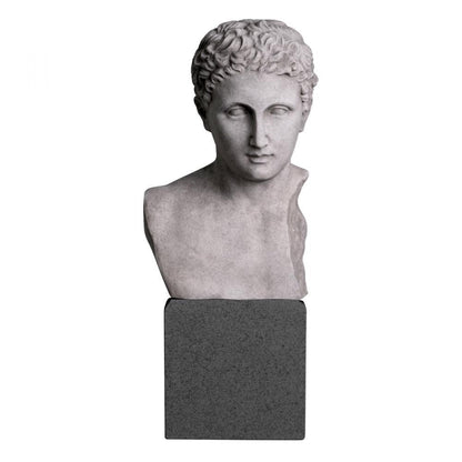 Eichholtz Bust Roman Imperial Gray, Black