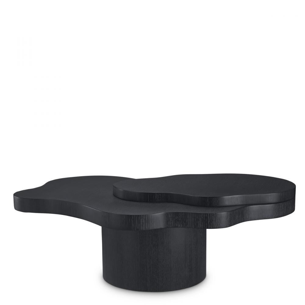 Eichholtz Coffee Table Cesareo, Eichholtz 118416 YV0J044WER