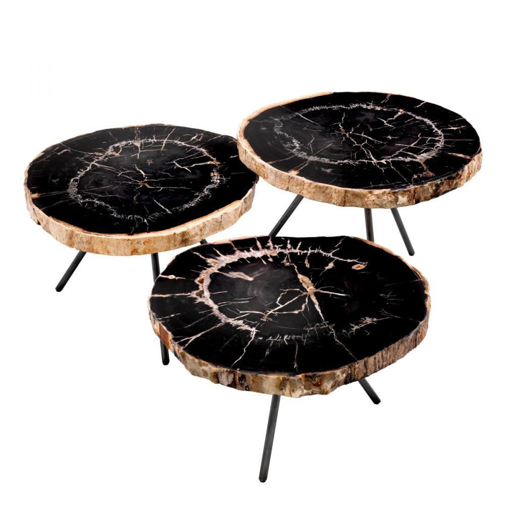 Eichholtz Coffee Table De Soto set of 3, Eichholtz 111465 YV0J044YCW