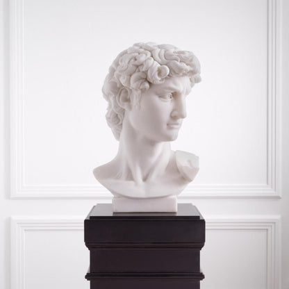 Eichholtz Head David, Eichholtz 117079 YV0J044THC