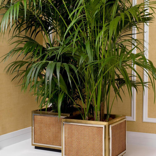 Eichholtz Planter Tropea, Eichholtz 117848 YV0J044VFF