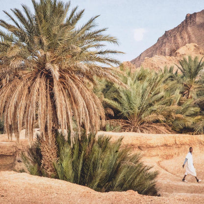 Eichholtz Print Marta Rossignol - Moroccan Oasis, Eichholtz 118557 YV0J044WF2