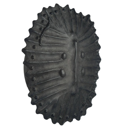 Arteriors Home Neushoorn Wall Sconce Ebony