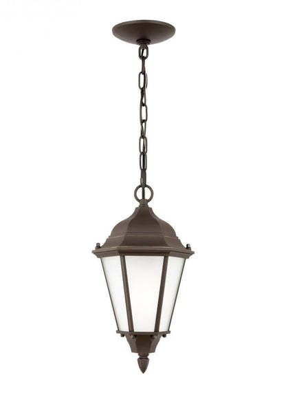 Bakersville 1-Light Outdoor Pendant