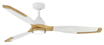 Fans-Hinkley-906760F-LDD