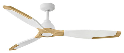 Fans-Hinkley-906760F-LDD