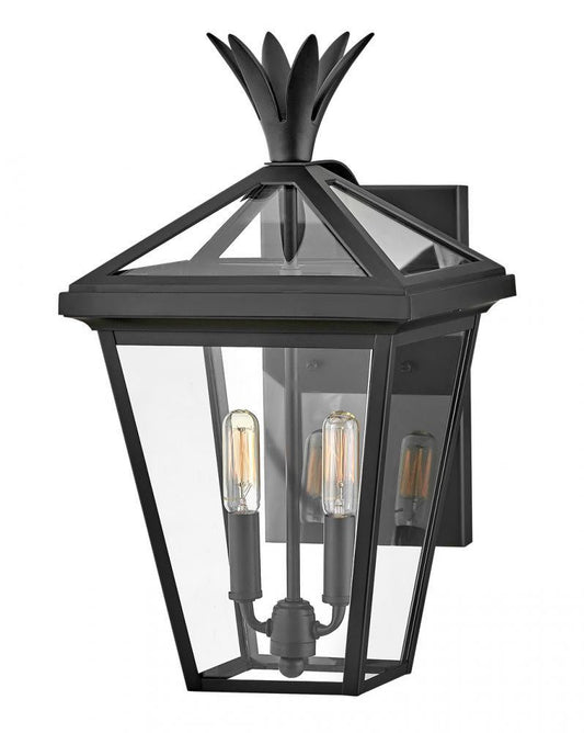 Hinkley Palma Medium Wall Mount Lantern Aluminum, Black