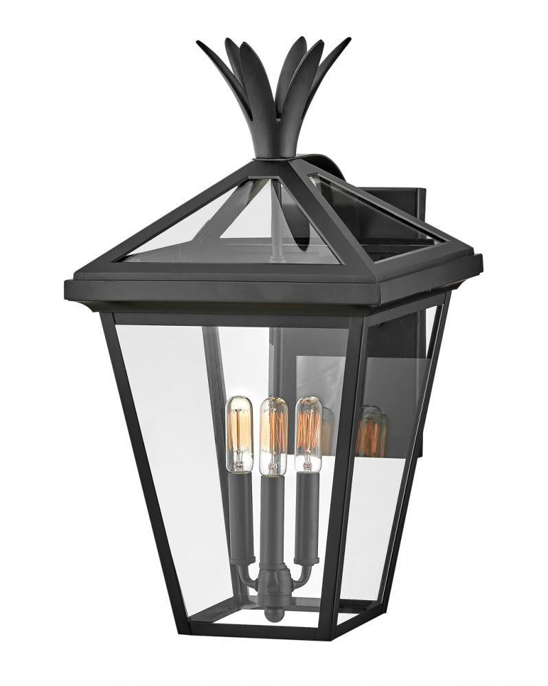 Hinkley Palma Outdoor Wall Lantern Aluminum, Black