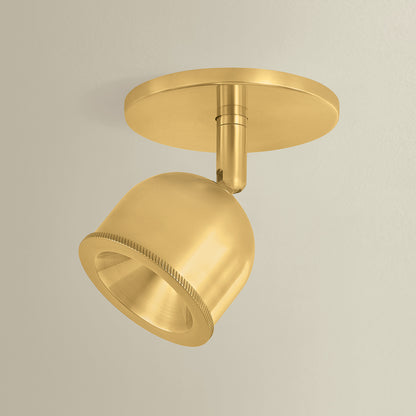 Hudson Valley Tuthill Flush Mount in Aged Brass, alternate view 6